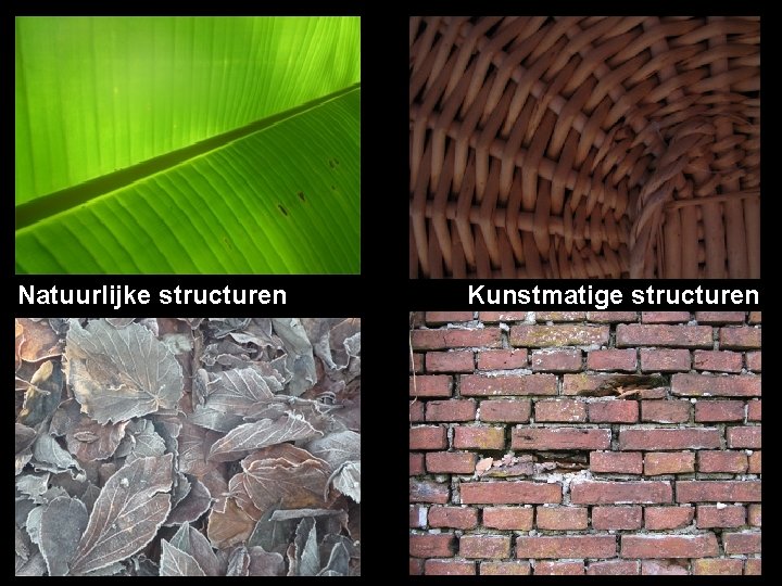 Natuurlijke structuren Kunstmatige structuren 