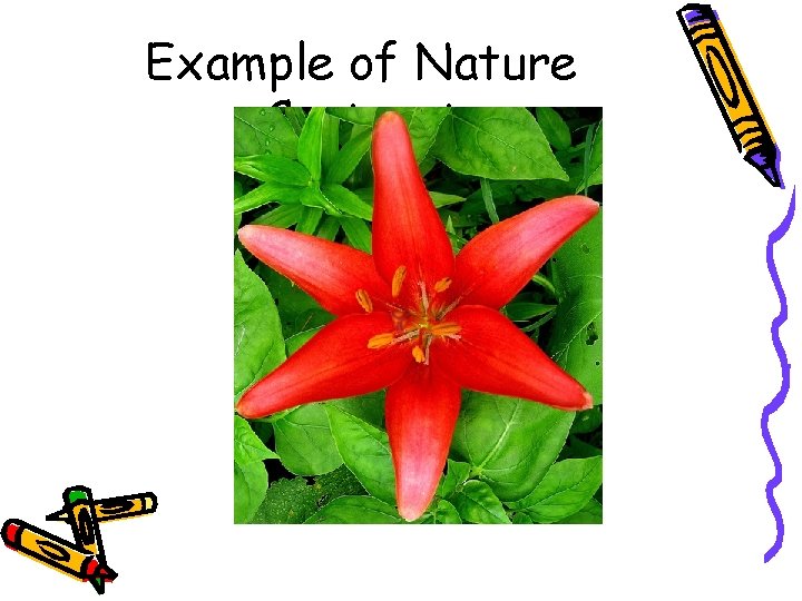 Example of Nature Contrast  Example of Nature Contrast