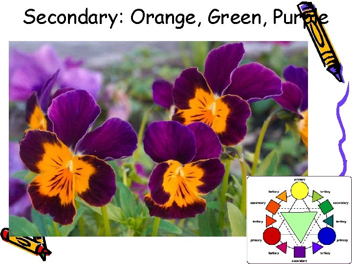 Secondary: Orange, Green, Purple 