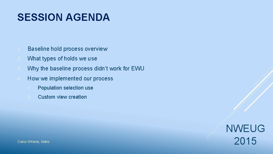 SESSION AGENDA 1. Baseline hold process overview 2. What types of holds we use