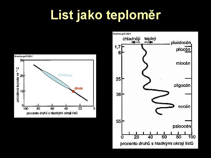 List jako teploměr Macdougall 2004 třetihory dnes List jako teploměr Macdougall 2004 třetihory dnes