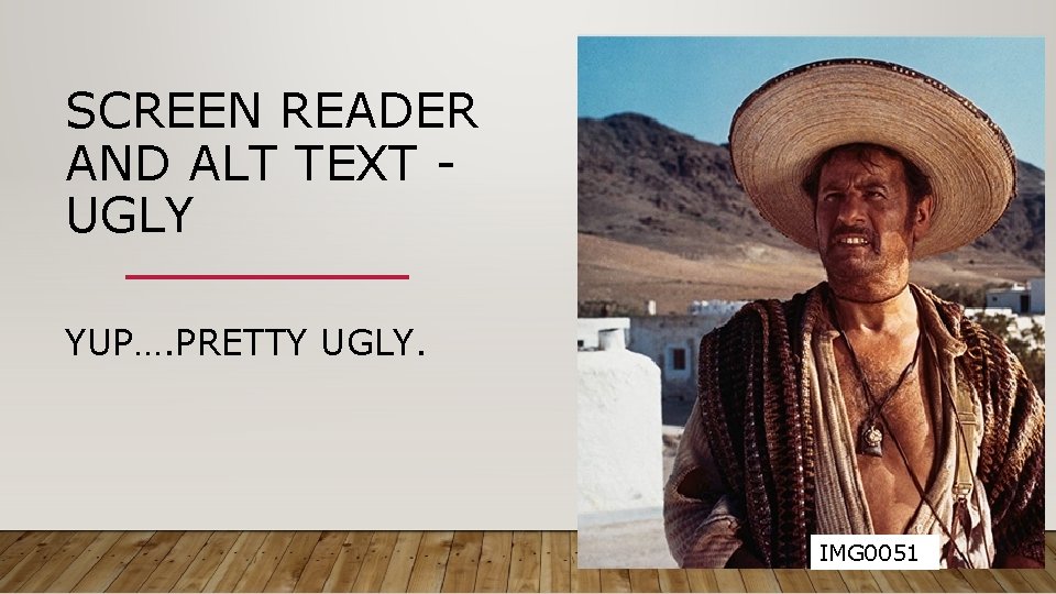 SCREEN READER AND ALT TEXT UGLY YUP…. PRETTY UGLY. IMG 0051 