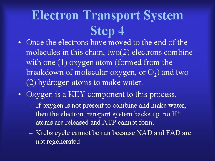 Electron Transport System Step 4 • Once the electrons have moved to the end