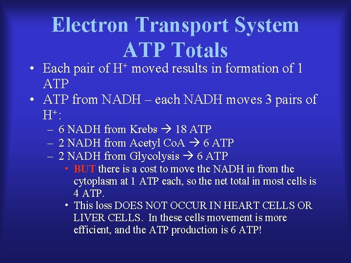 Electron Transport System ATP Totals • Each pair of H+ moved results in formation