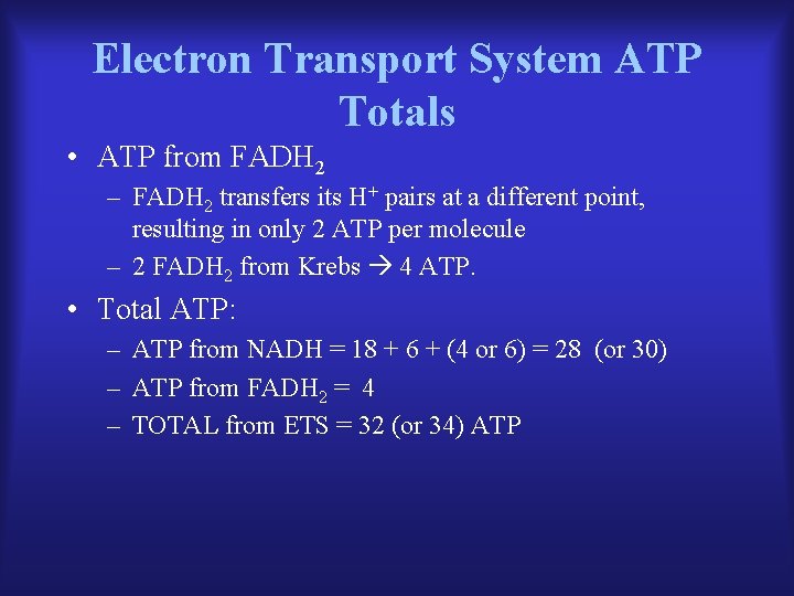 Electron Transport System ATP Totals • ATP from FADH 2 – FADH 2 transfers