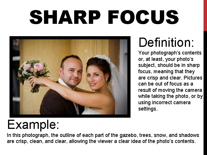 SHARP FOCUS Definition: Your photograph’s contents or, at least, your photo’s subject, should be