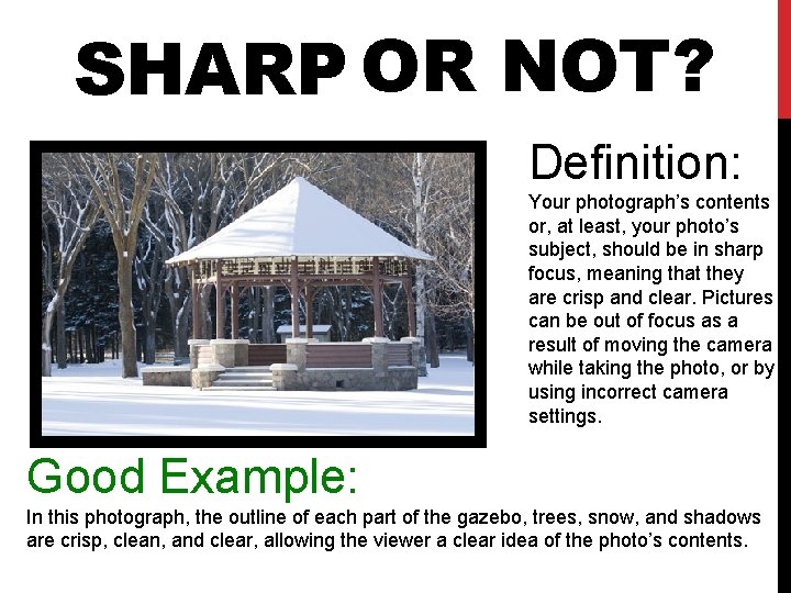 SHARP OR NOT? Definition: Your photograph’s contents or, at least, your photo’s subject, should