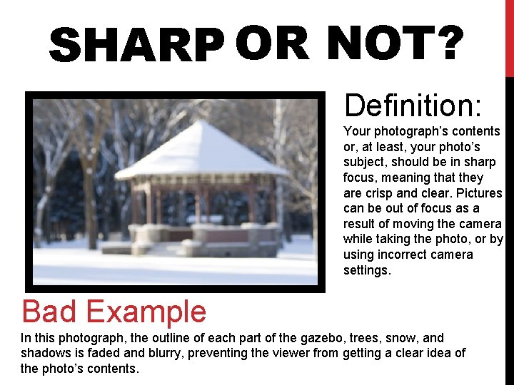 SHARP OR NOT? Definition: Your photograph’s contents or, at least, your photo’s subject, should