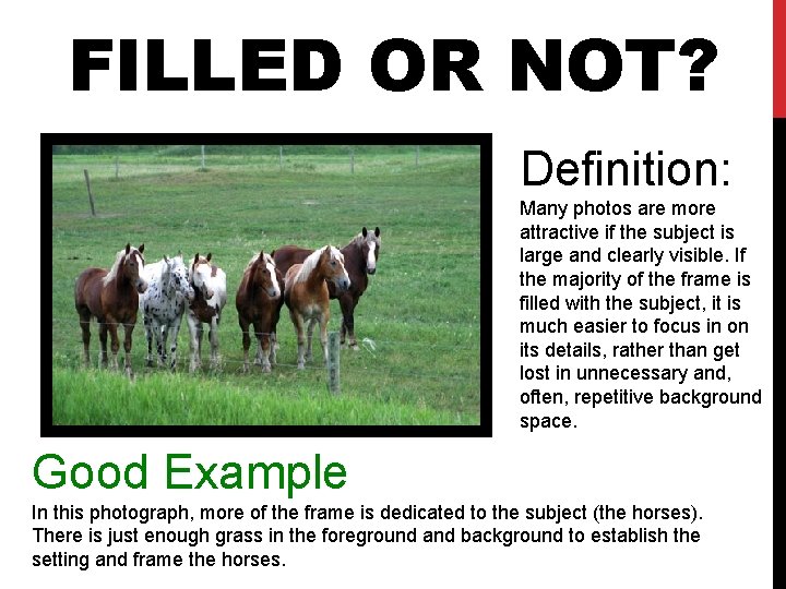 FILLED OR NOT? Definition: Many photos are more attractive if the subject is large