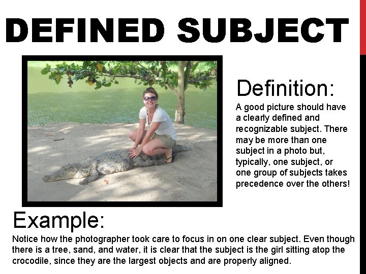 DEFINED SUBJECT Definition: A good picture should have a clearly defined and recognizable subject.