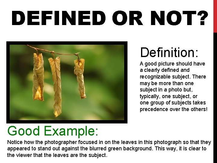 DEFINED OR NOT? Definition: A good picture should have a clearly defined and recognizable