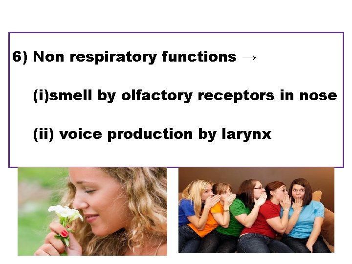 6) Non respiratory functions → (i)smell by olfactory receptors in nose (ii) voice production
