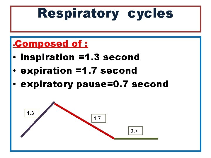 Respiratory cycles -Composed of : • inspiration =1. 3 second • expiration =1. 7
