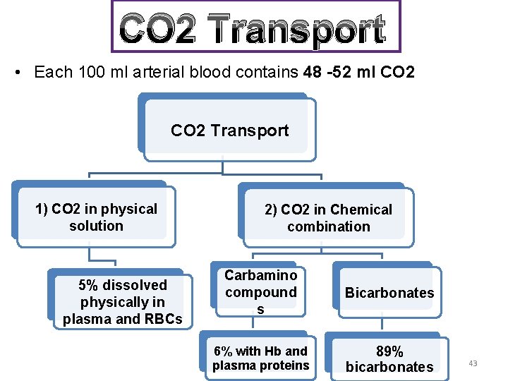 CO 2 Transport • Each 100 ml arterial blood contains 48 -52 ml CO