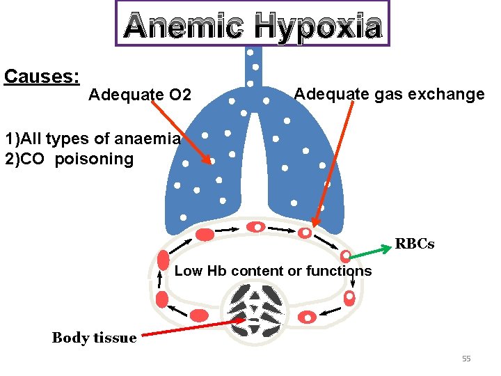 Anemic Hypoxia Causes: Adequate O 2 Adequate gas exchange 1)All types of anaemia 2)CO