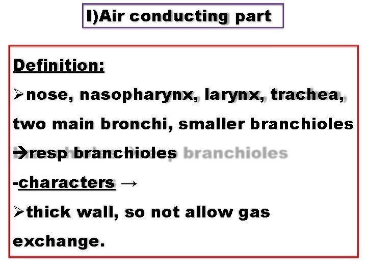 I)Air conducting part Definition: Ønose, nasopharynx, larynx, trachea, two main bronchi, smaller branchioles resp