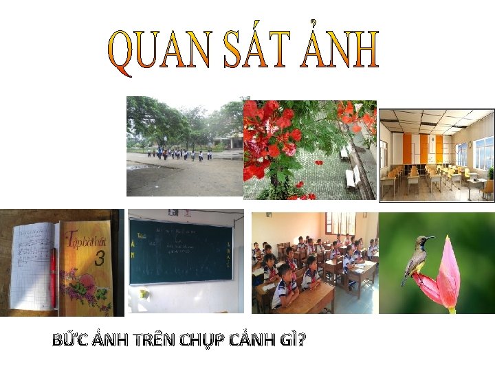 BỨC ẢNH TRÊN CHỤP CẢNH GÌ? 