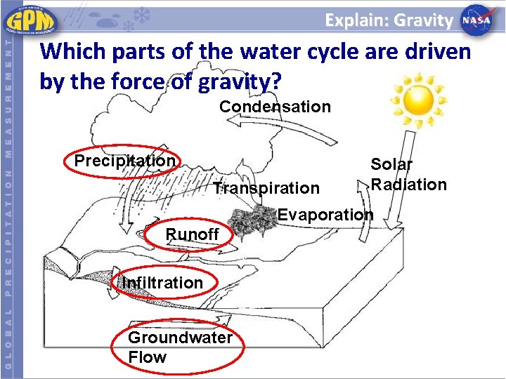 Explain: Gravity Which parts of the water cycle are driven by the force of