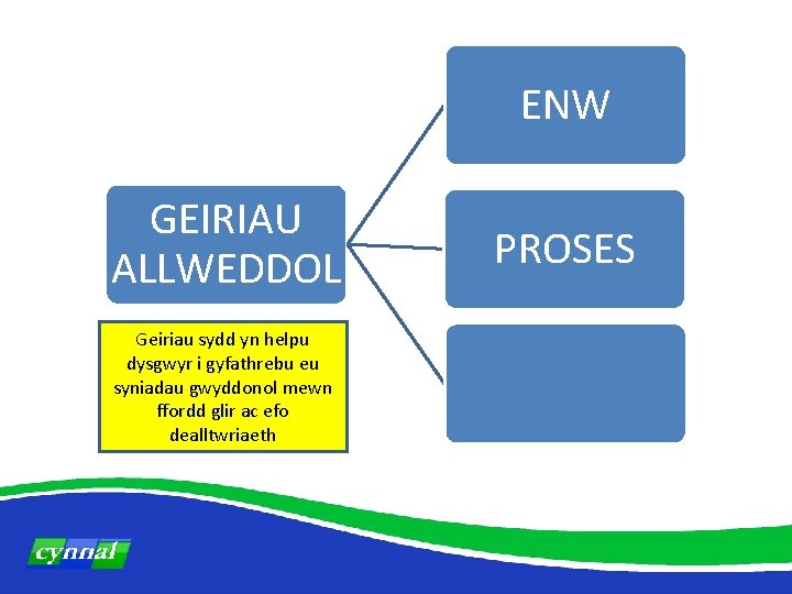 ENW GEIRIAU ALLWEDDOL Geiriau sydd yn helpu dysgwyr i gyfathrebu eu syniadau gwyddonol mewn