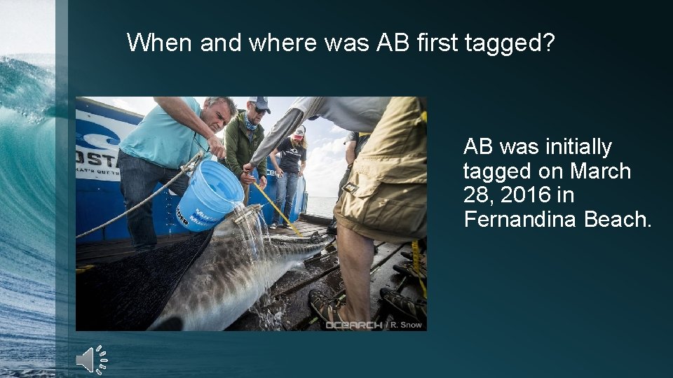 When and where was AB first tagged? AB was initially tagged on March 28,