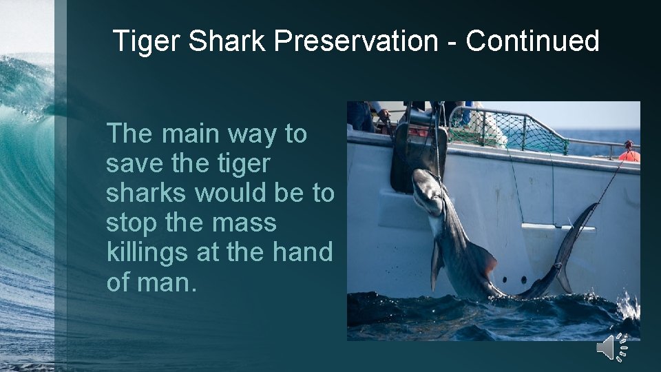 Tiger Shark Preservation - Continued The main way to save the tiger sharks would