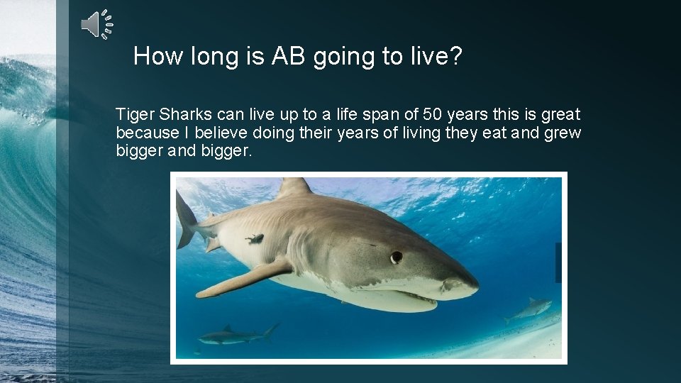 How long is AB going to live? Tiger Sharks can live up to a