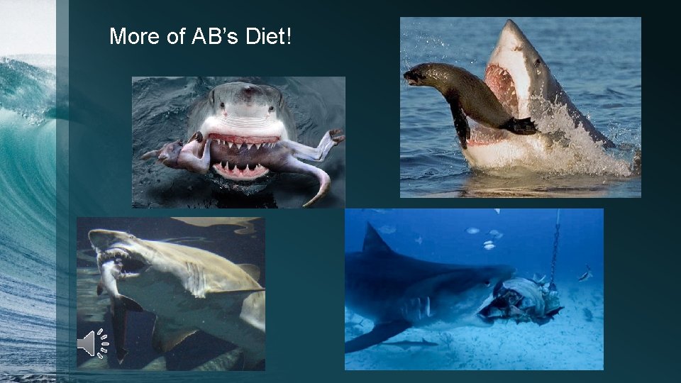 More of AB’s Diet! 