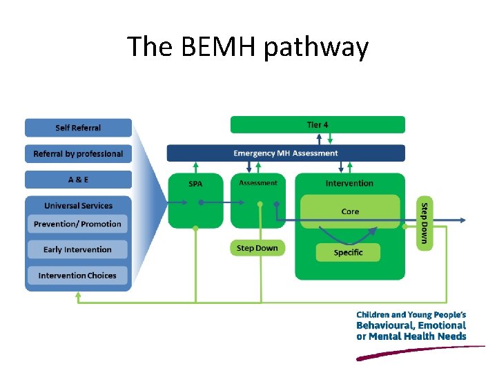 The BEMH pathway 