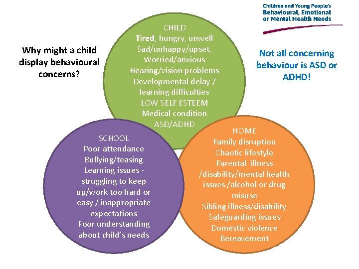 Why might a child display behavioural concerns? CHILD Tired, hungry, unwell Sad/unhappy/upset, Worried/anxious Hearing/vision