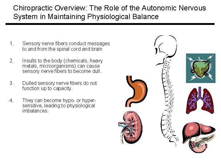 Chiropractic Overview: The Role of the Autonomic Nervous System in Maintaining Physiological Balance 1.