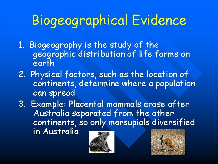 Biogeographical Evidence 1. Biogeography is the study of the geographic distribution of life forms