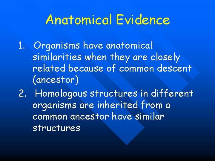 Anatomical Evidence 1. Organisms have anatomical similarities when they are closely related because of