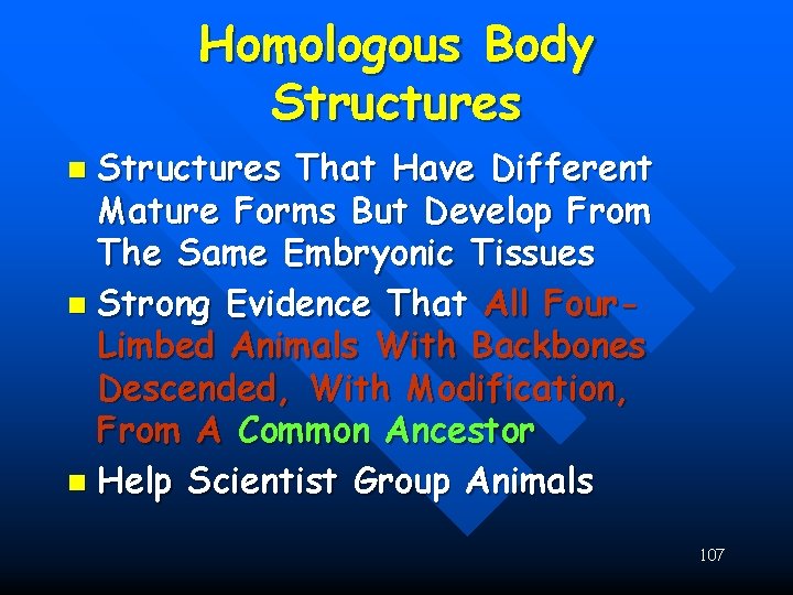 Homologous Body Structures That Have Different Mature Forms But Develop From The Same Embryonic