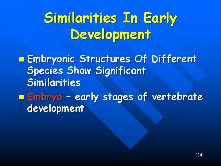 Similarities In Early Development Embryonic Structures Of Different Species Show Significant Similarities n Embryo