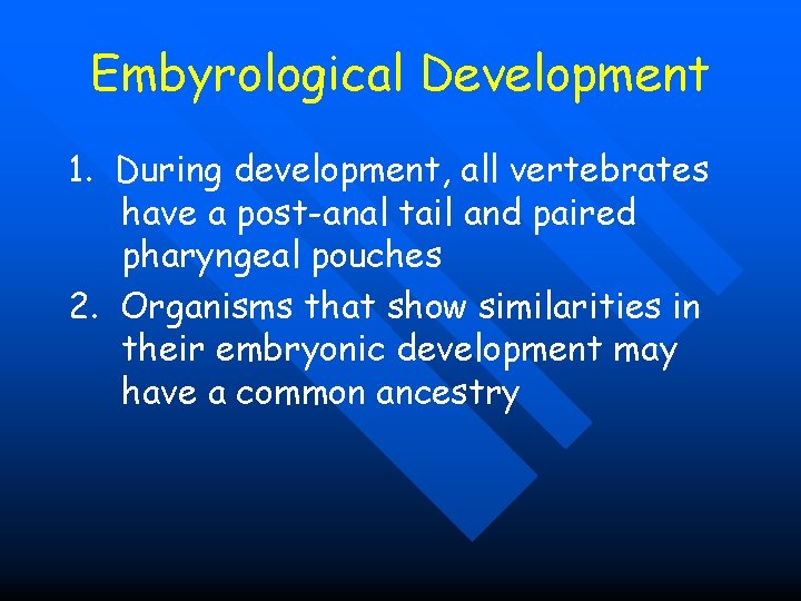Embyrological Development 1. During development, all vertebrates have a post-anal tail and paired pharyngeal