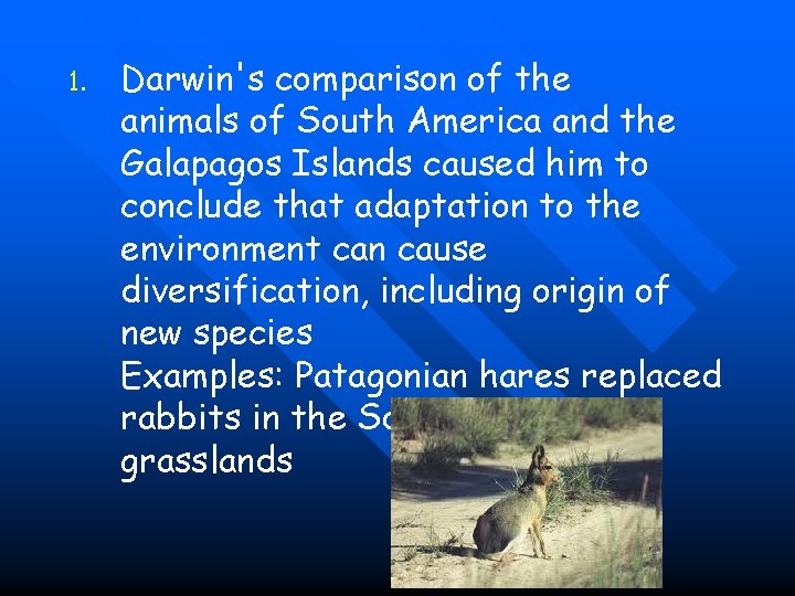 1. Darwin's comparison of the animals of South America and the Galapagos Islands caused