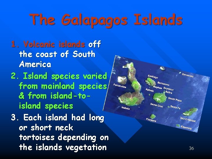 The Galapagos Islands 1. Volcanic islands off the coast of South America 2. Island