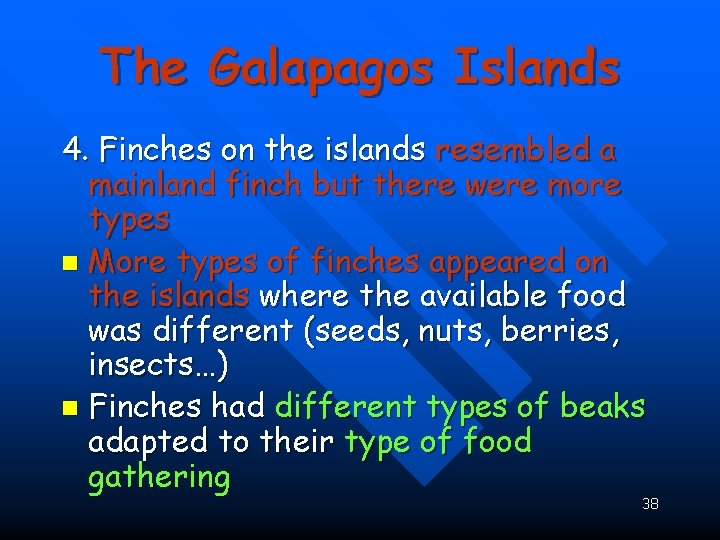 The Galapagos Islands 4. Finches on the islands resembled a mainland finch but there