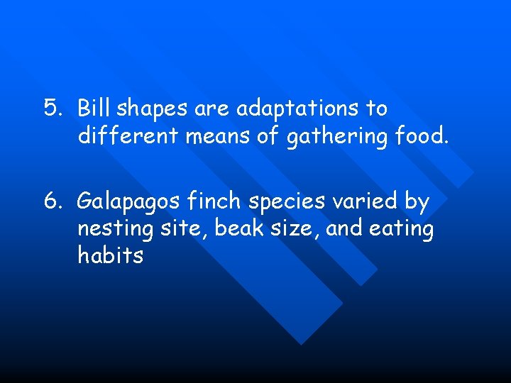 5. Bill shapes are adaptations to different means of gathering food. 6. Galapagos finch