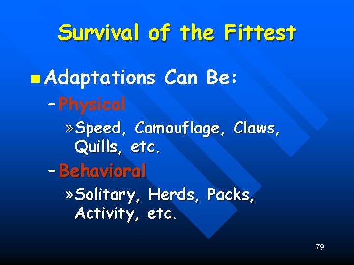 Survival of the Fittest n Adaptations Can Be: – Physical » Speed, Camouflage, Claws,