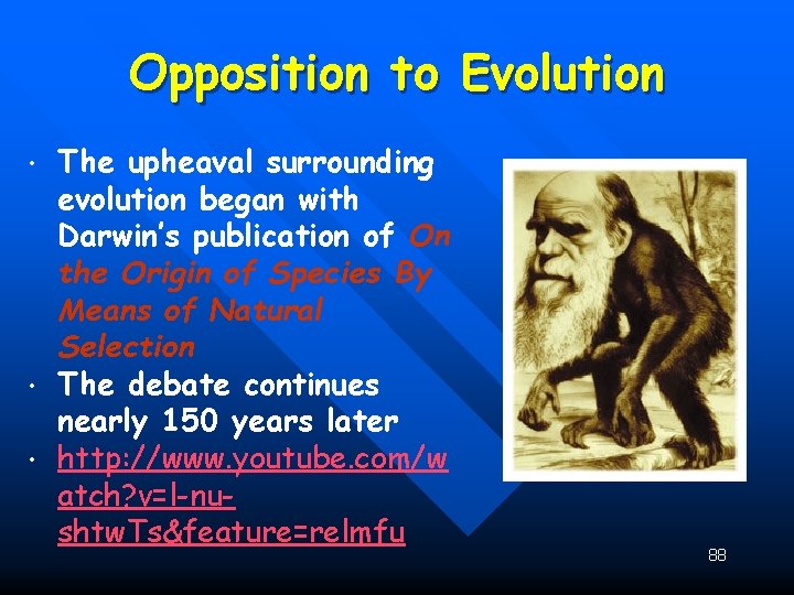 Opposition to Evolution • • • The upheaval surrounding evolution began with Darwin’s publication