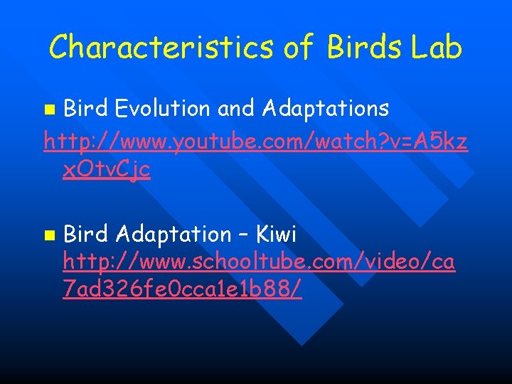 Characteristics of Birds Lab Bird Evolution and Adaptations http: //www. youtube. com/watch? v=A 5