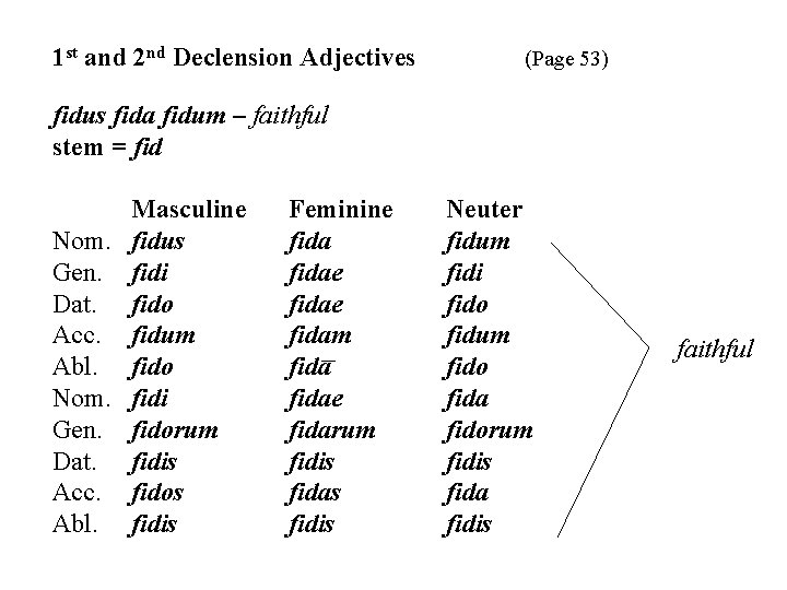 1 st and 2 nd Declension Adjectives (Page 53) fidus fida fidum – faithful