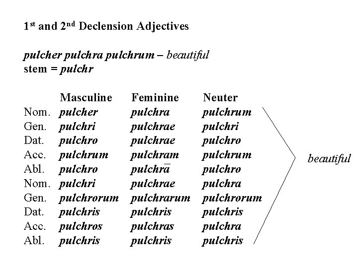 1 st and 2 nd Declension Adjectives pulcher pulchra pulchrum – beautiful stem =