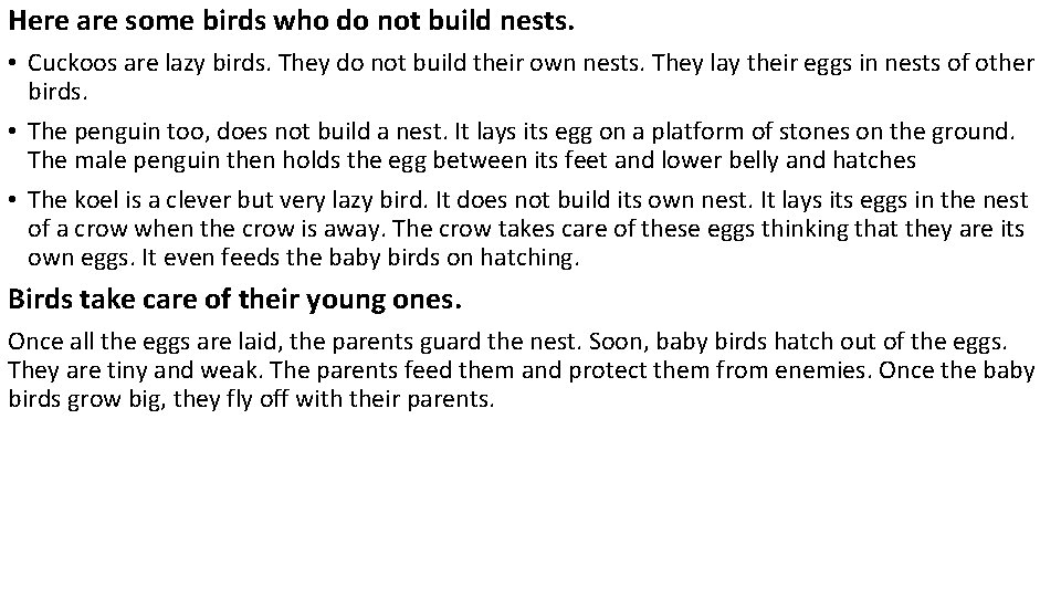 Here are some birds who do not build nests. • Cuckoos are lazy birds.