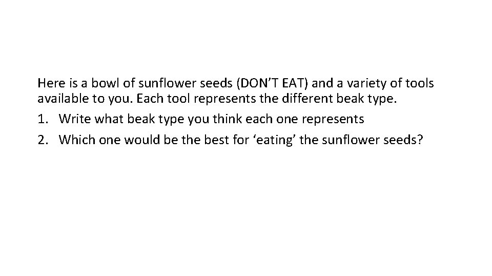 Here is a bowl of sunflower seeds (DON’T EAT) and a variety of tools