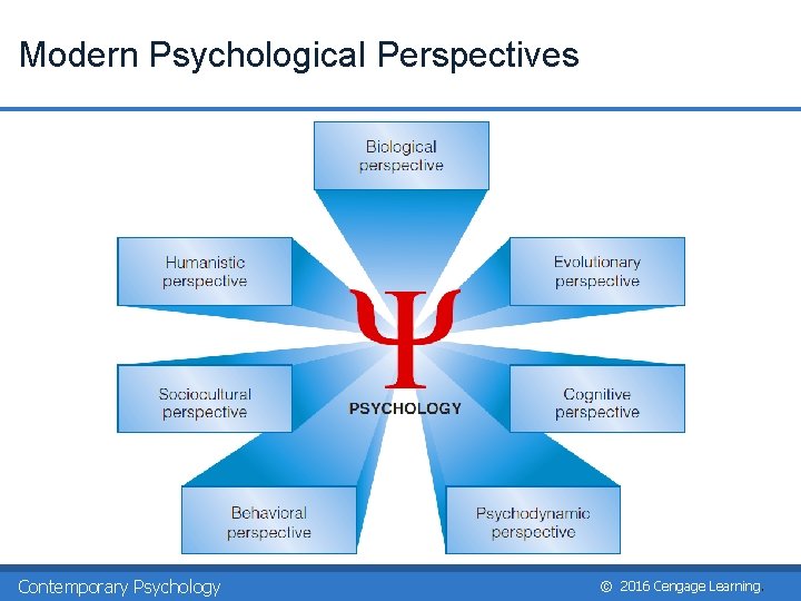 Modern Psychological Perspectives Contemporary Psychology © 2016 Cengage Learning. Modern Psychological Perspectives Contemporary Psychology © 2016 Cengage Learning.