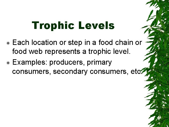 Trophic Levels Each location or step in a food chain or food web represents