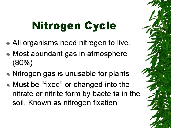 Nitrogen Cycle All organisms need nitrogen to live. Most abundant gas in atmosphere (80%)