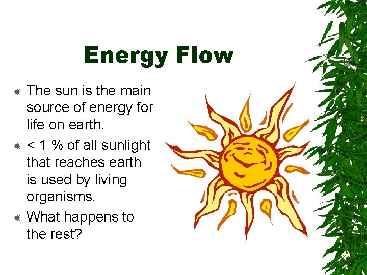 Energy Flow The sun is the main source of energy for life on earth.